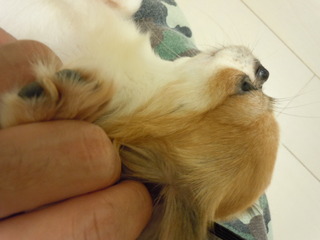 DSCN0890