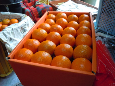 DSCN3174