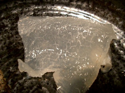 b5667172.jpg