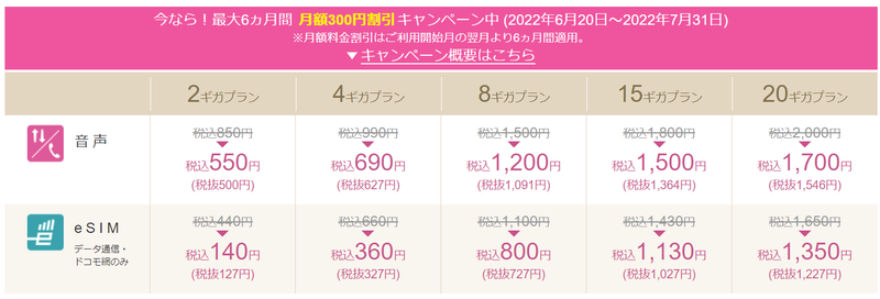 スクリーンショット 2022-06-21 17.10.25