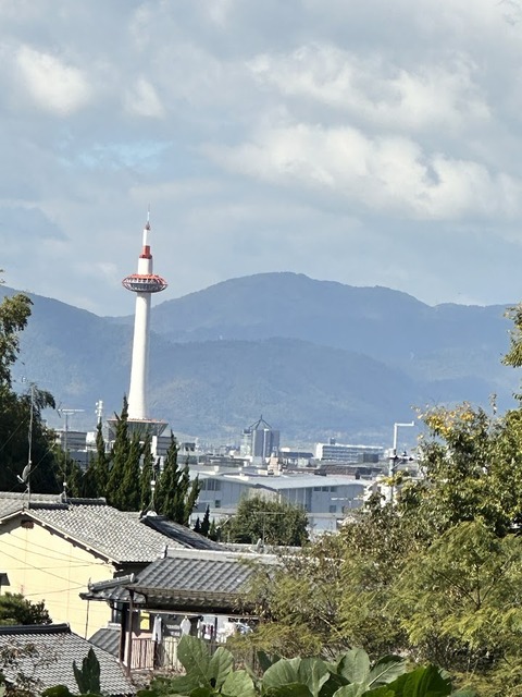 20.1107