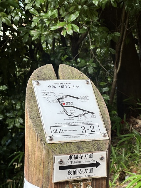 15.1019