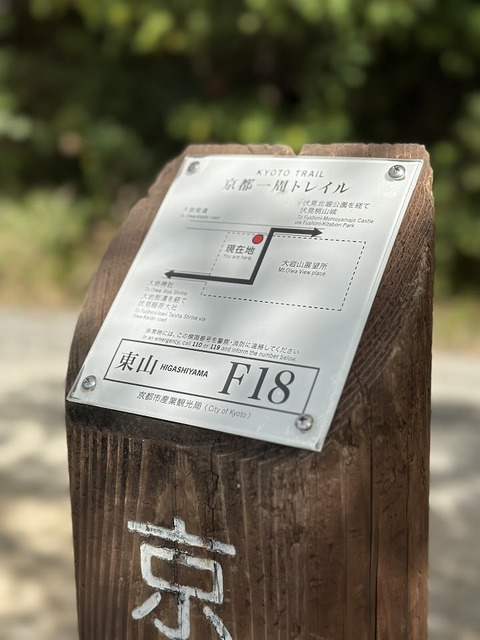 9.1244