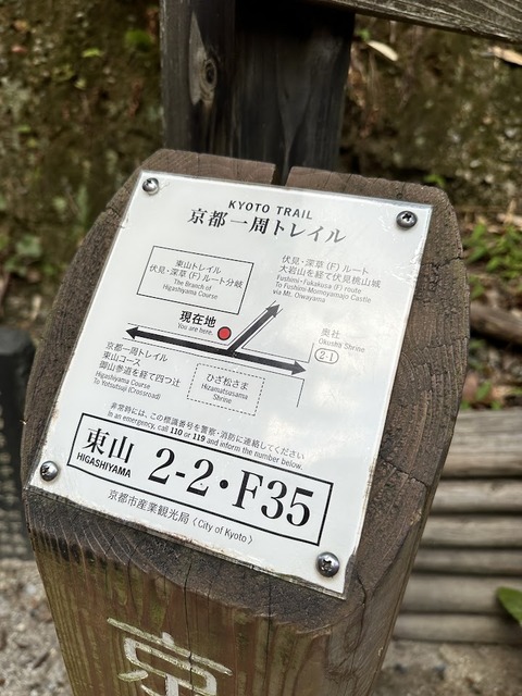 20.1553