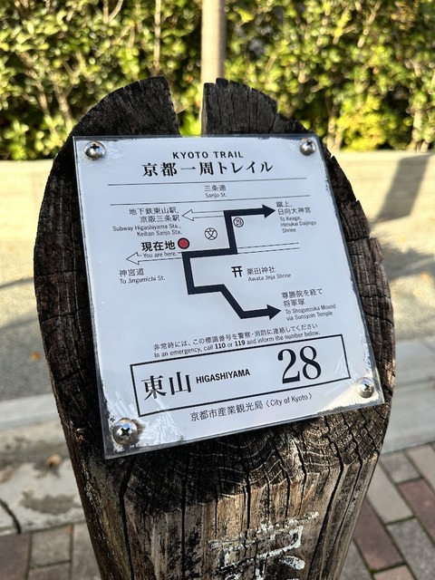 33.1530