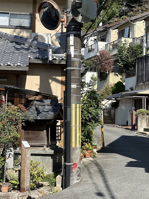 20.1129