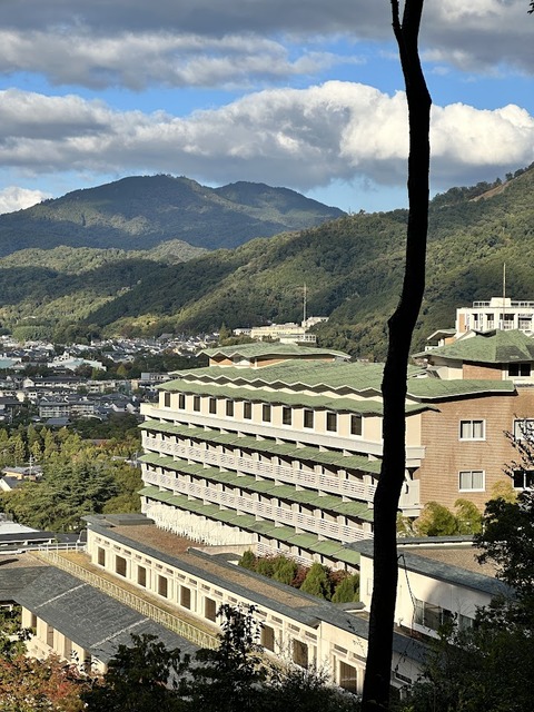 32.1516