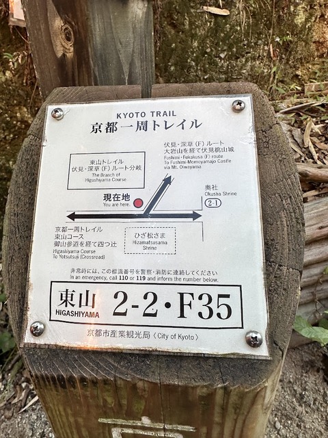 9.0923
