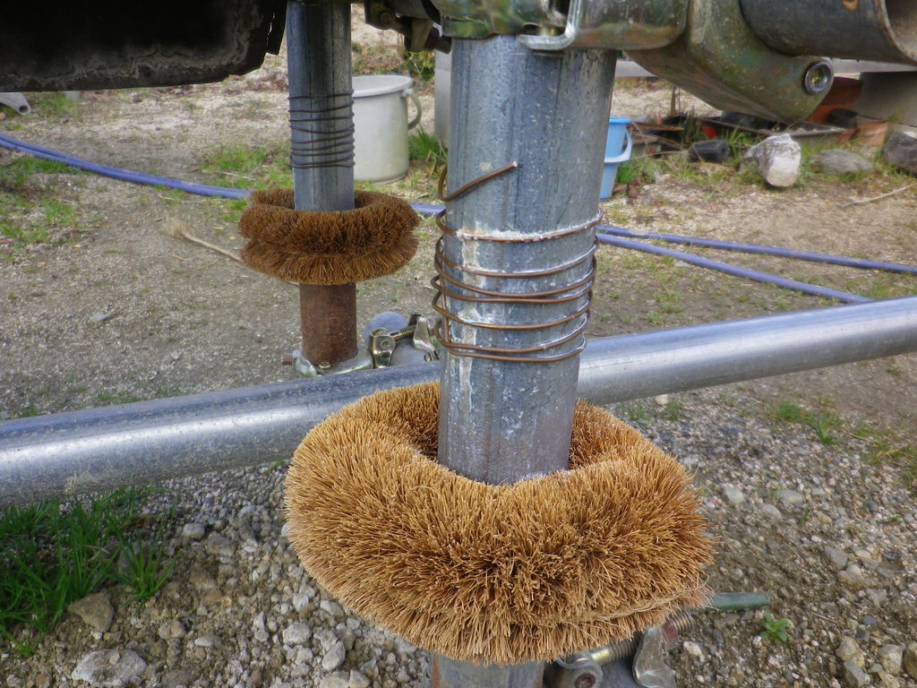 イチゴのナメクジ対策の銅線巻 パイプの亜鉛と銅にサビが発生 燦day毎日の徒然日記 イチゴのナメクジ対策の銅線巻 パイプの亜鉛と銅にサビが発生 燦day毎日の徒然日記