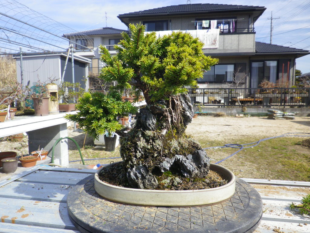 燦day毎日の徒然日記 13年03月 燦day毎日の徒然日記 13年03月
