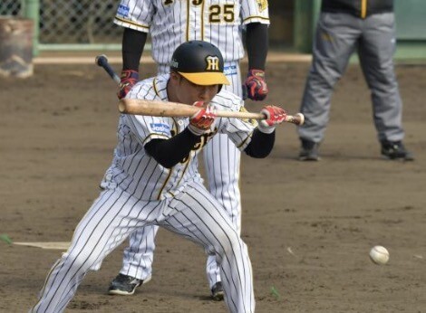 スクリーンショット 2025-05-27 19.30.45