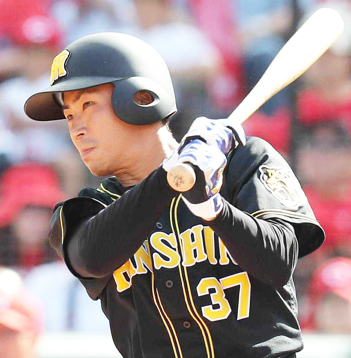 20191019-OHT1I50110-L