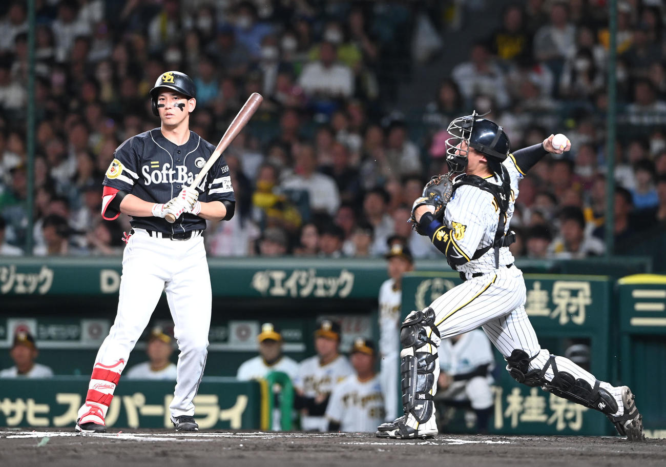 202306160001371-w1300_0