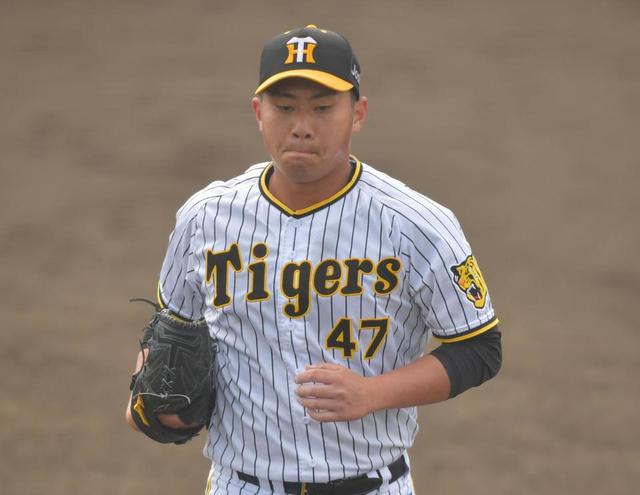 【野球】体調不良を訴えていた阪神の桐敷が甲子園室内での練習に参加し、ブルペン投球