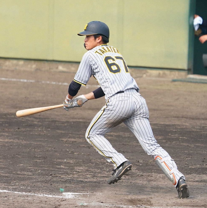 【阪神】髙寺「広島の西川さんみたいな選手になりたい」