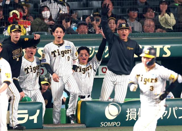 【プロ野球】阪神タイガース野手ドラフト