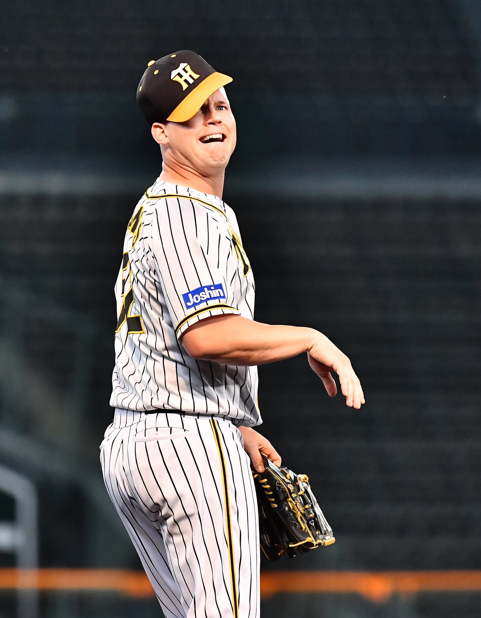 阪神 サンズのおもしろ画像 プロ野球１２球団まとめサイト