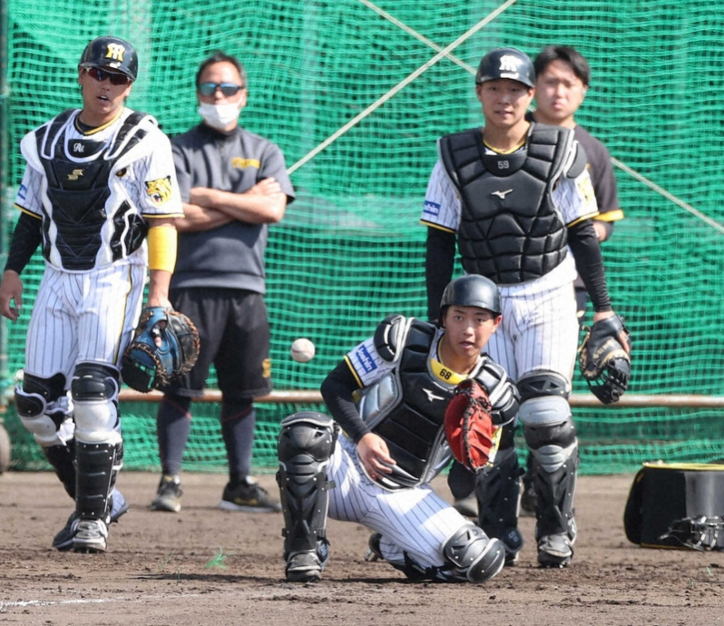 阪神“英才教育第2弾”　中川＆藤田も1軍　岡田監督「いいピッチャーのすごいボール捕って勉強してな」