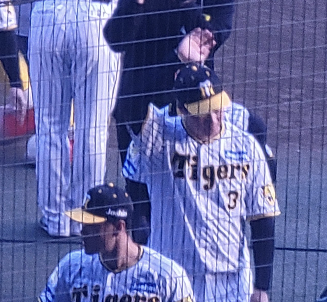 スクリーンショット 2024-11-23 17.06.56