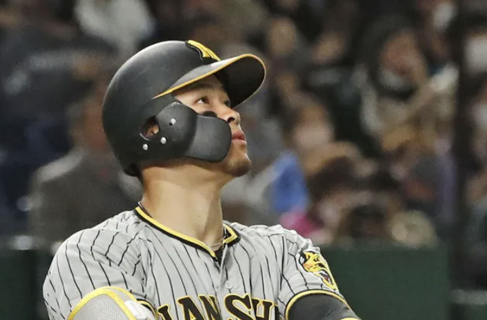 スクリーンショット 2026-01-31 5.18.14