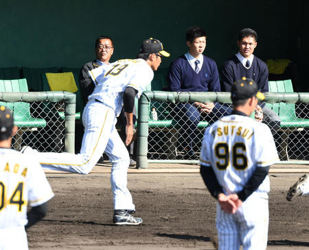 20191109-11090894-nksports-000-2-view