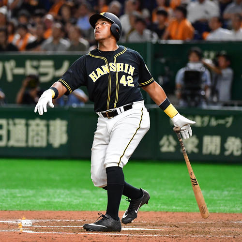 201907260001380-w500_0