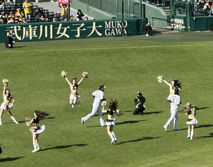 スクリーンショット 2024-11-23 14.59.16