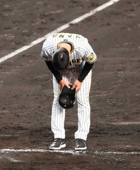 今年で矢野とお別れ