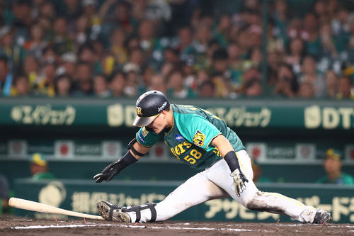 202407270001651-w500_1