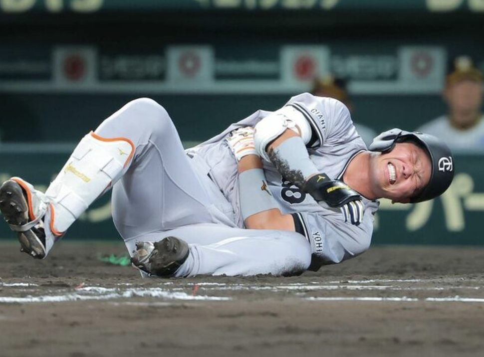 スクリーンショット 2024-08-02 11.58.40