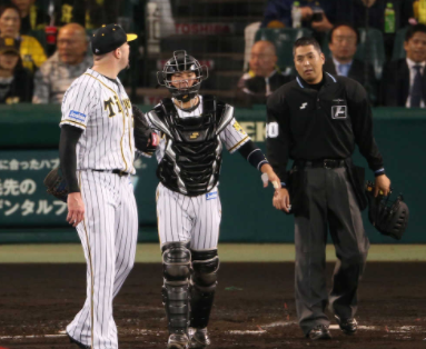 最強 球審の白井が退場させたプロ野球選手一覧yyyyyyyyyyyyy 巨人巨人巨人巨人 最強 球審の白井が退場させたプロ野球選手一覧yyyyyyyyyyyyy 巨人巨人巨人巨人