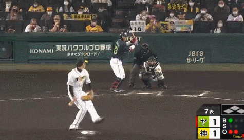 GIF(6)