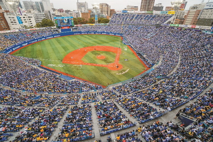 プロ野球本拠地