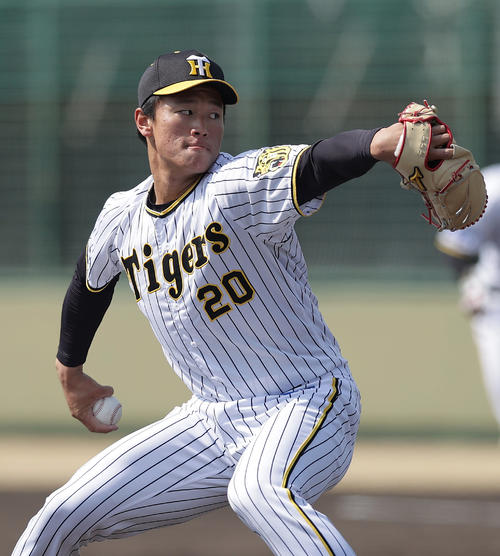 202203080000293-w500_0