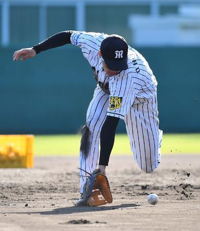 20171201-00066182-nksports-000-2-view
