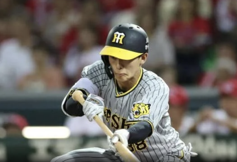 スクリーンショット 2024-07-04 7.49.01