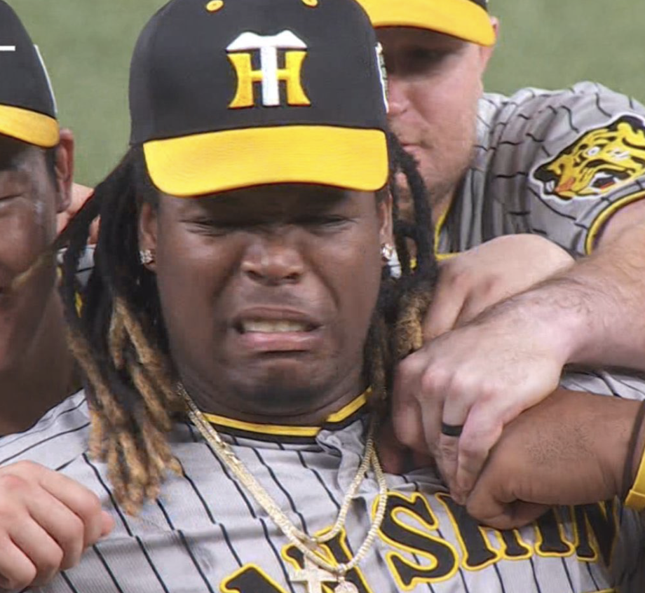 スクリーンショット 2024-11-18 23.11.32