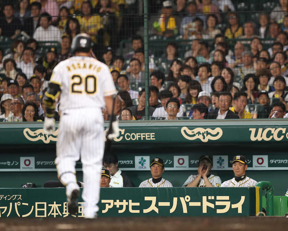 20180518s00001173067000p_view