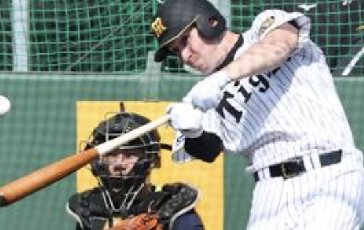 スクリーンショット 2026-02-19 15.46.03