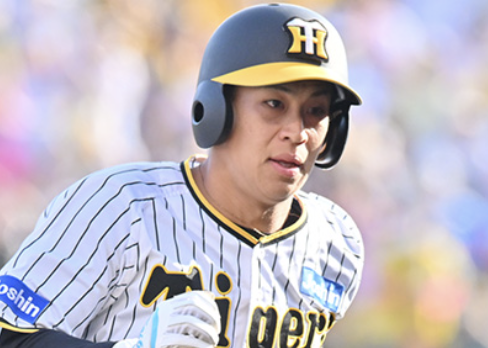 スクリーンショット 2024-06-03 17.31.02