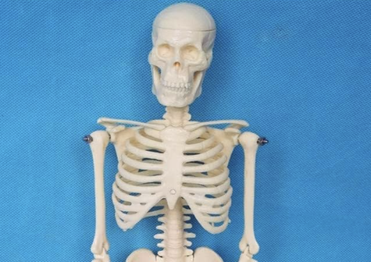 スクリーンショット 2026-03-10 22.05.26