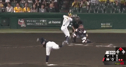 GIF(2)