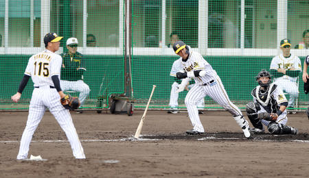 20200204-02041067-nksports-000-18-view