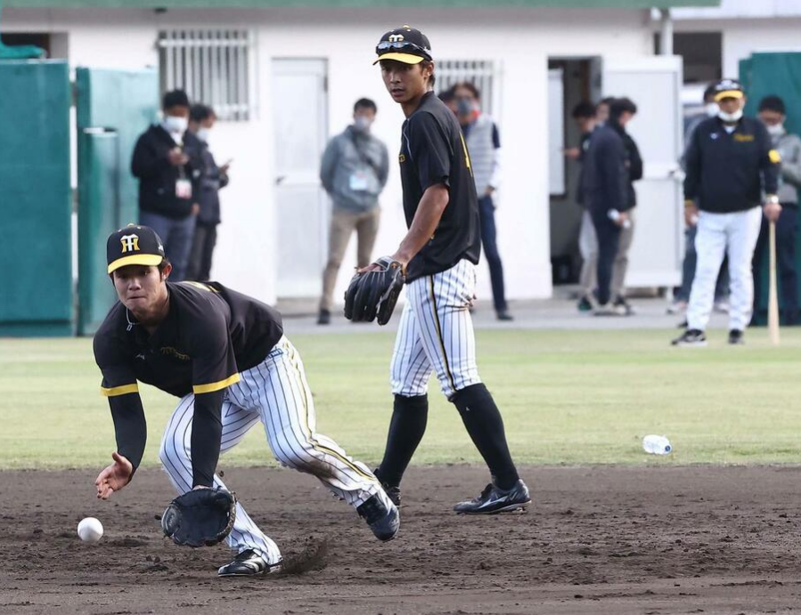 【阪神】中野ってセカンドやったら守備範囲お化けなるんちゃうか