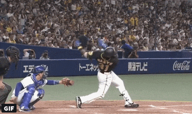GIF(5)