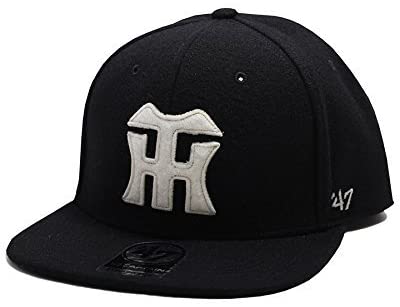 41HzdlwijML._AC_