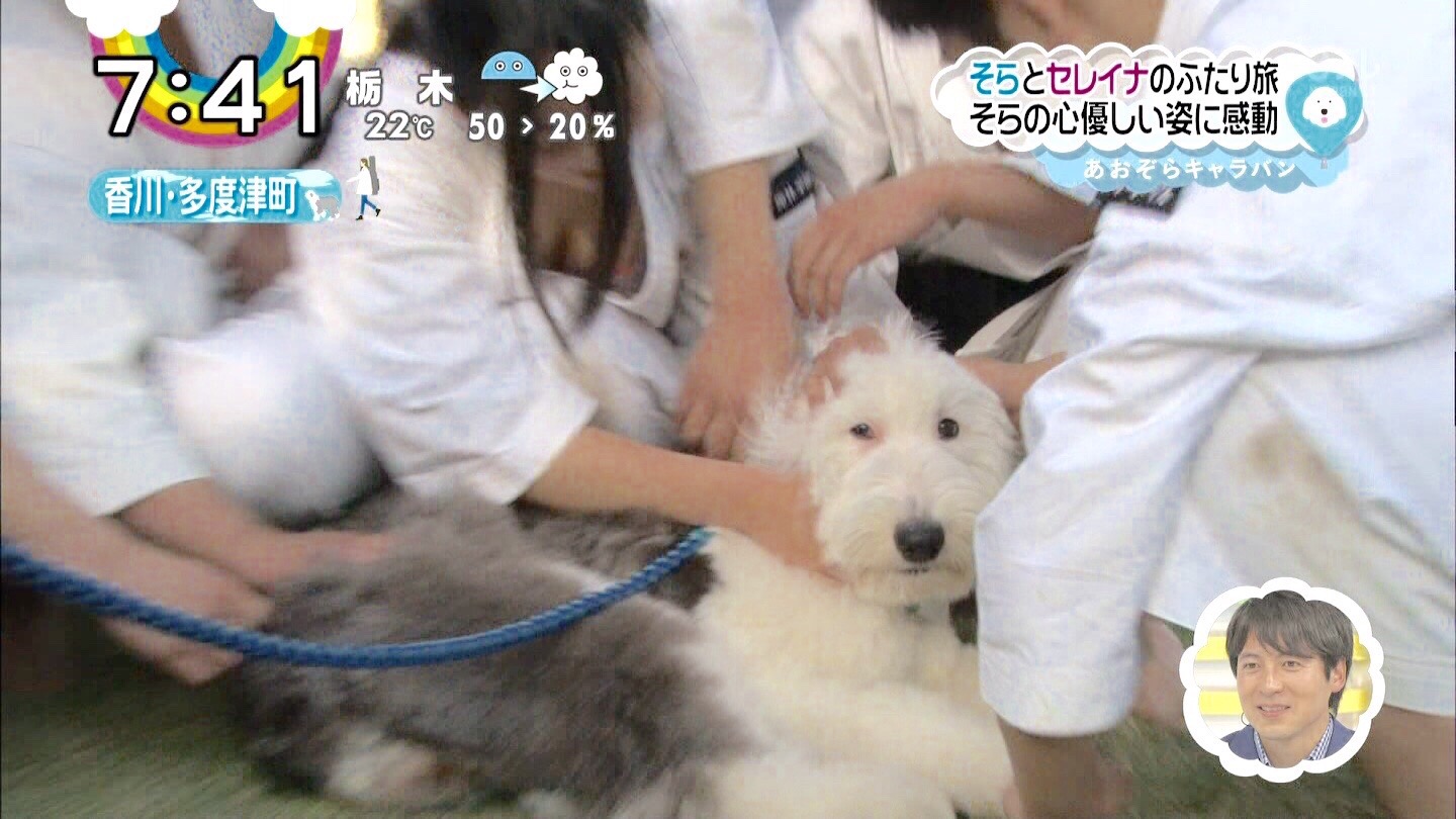 画像 Zip で放送事故wwwwwwwwwwwwwww 阪神タイガース猛虎魂アンテナ 画像 Zip で放送事故wwwwwwwwwwwwwww 阪神タイガース猛虎魂アンテナ