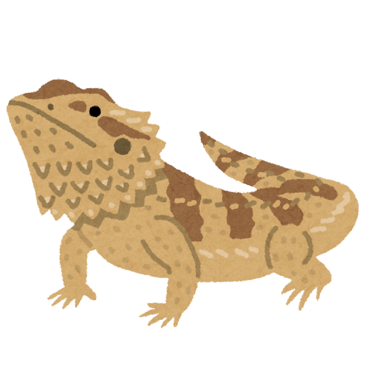 lizard_futoagohigetokage