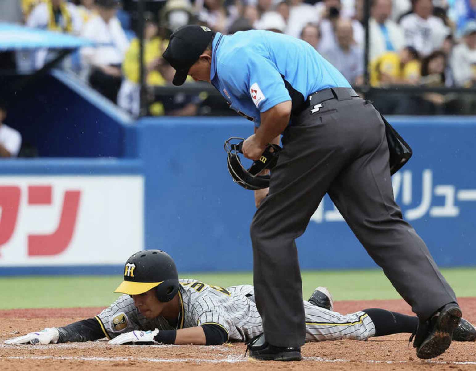 スクリーンショット 2024-07-01 12.45.45