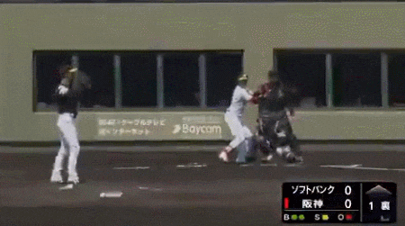 GIF(5)